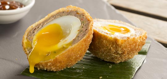 scotch egg